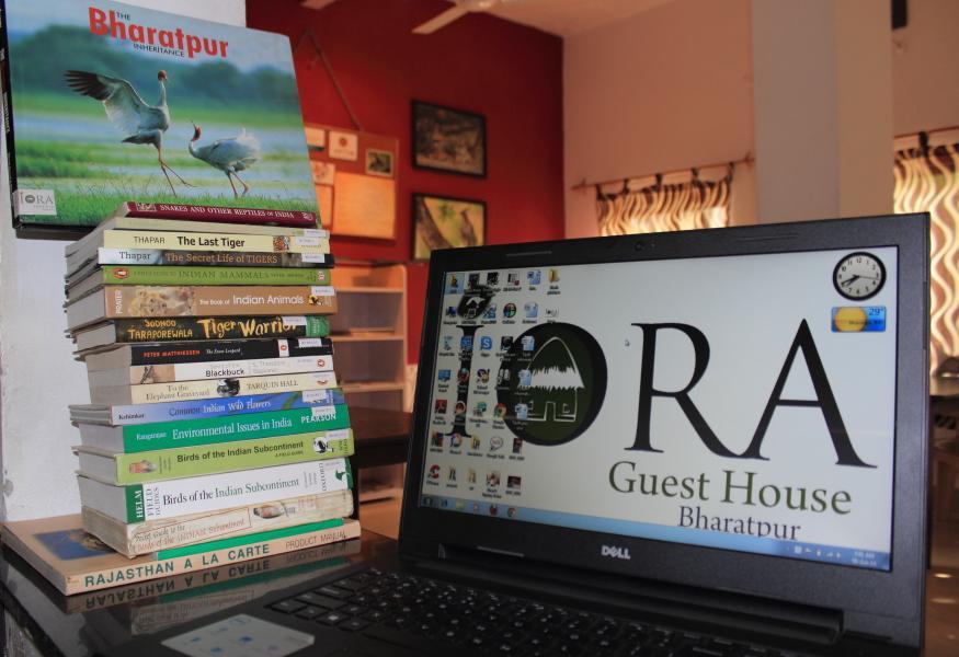 Iora Guest House バラトプル エクステリア 写真