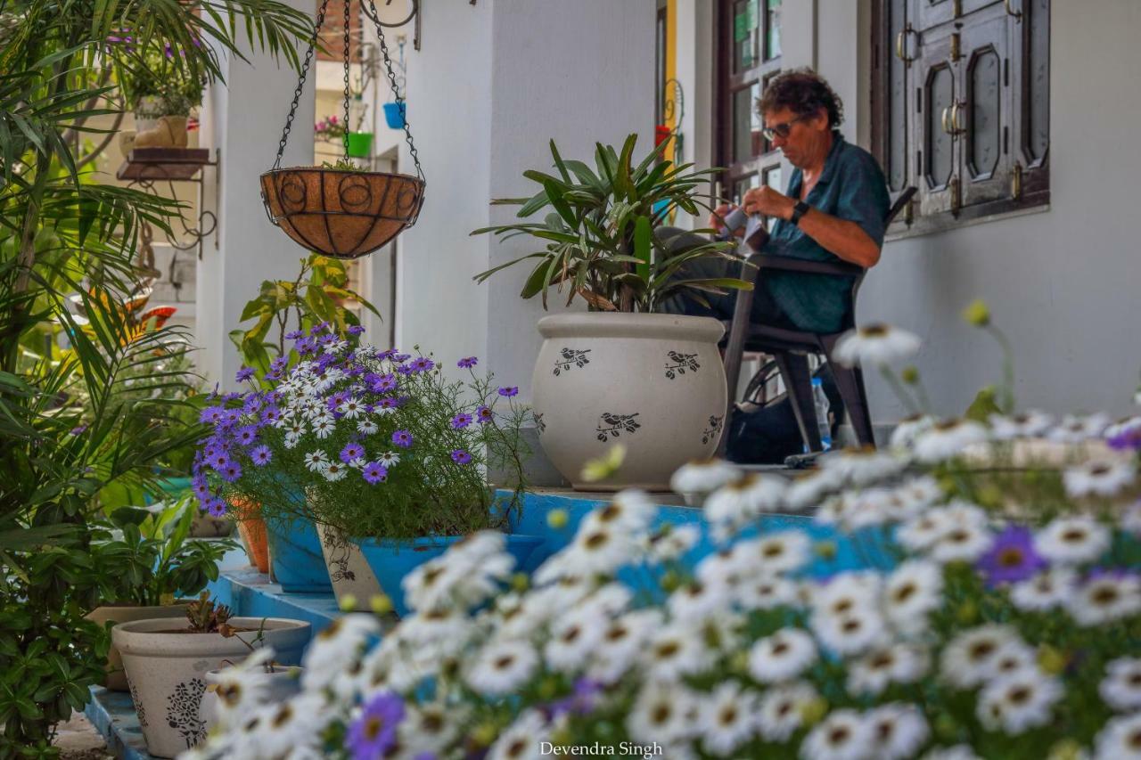 Iora Guest House バラトプル エクステリア 写真